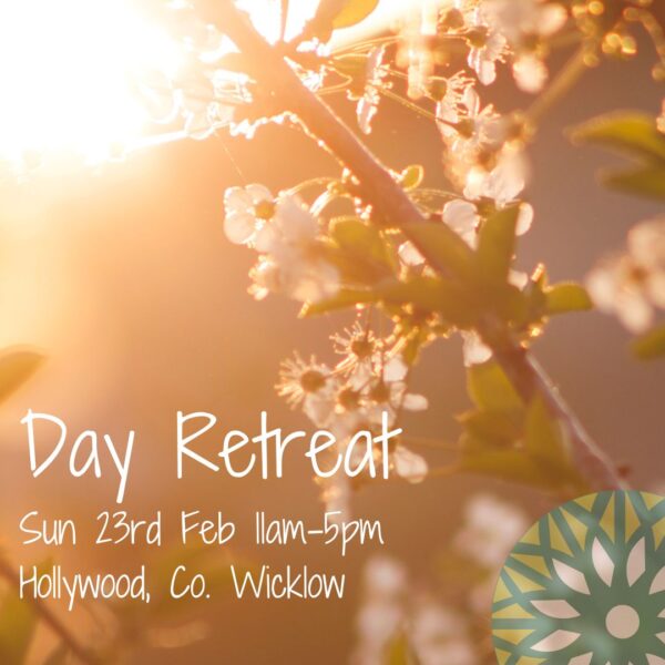 Sun 23rd Feb 11am-5pm -  Retreat Day, Hollywood Forest Research Centre, Co. Wicklow